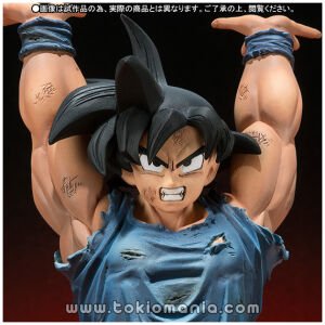 FiguartsZERO SON GOKU-Genkitama-
