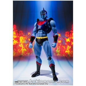 S.H.Figuarts Robin Mask