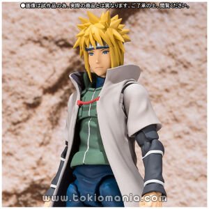 S.H.Figuarts MINATO NAMIKAZE
