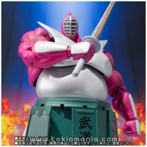 S.H.Figuarts STRONG THE BUDO