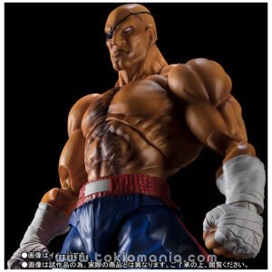 S.H.Figuarts SAGAT