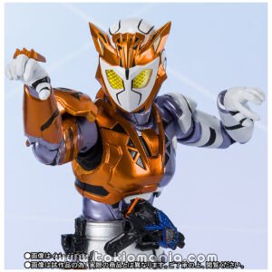 S.H.Figuarts KAMEN RIDER VALKYRIE RUSHING CHEETAH