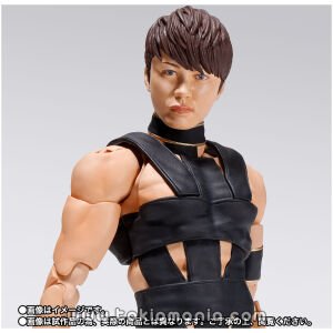 S.H.Figuarts T.M.Revolution