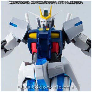 ROBOT SPIRITS SIDE MS Extreme Gundam (Type-IX) Special ver.