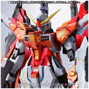 Metal Build Destiny Gundam (Heine Custom)