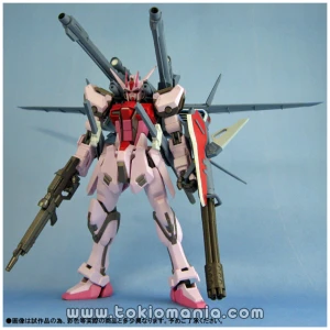 ROBOT SPIRITS SIDE MS Strike Rouge (IWSP equipped)