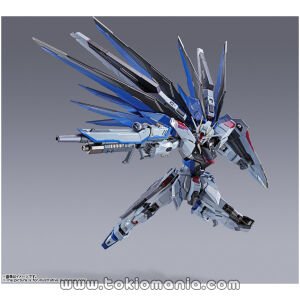 Metal Build Freedom Gundam Concept 2