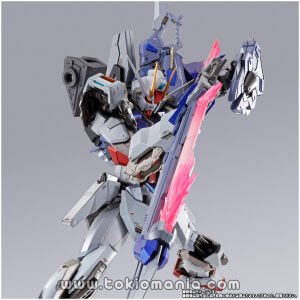 Metal Build Sword Striker -Metal Build 10th Ver. -