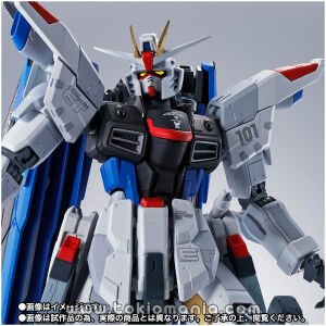 ROBOT SPIRITS SIDE MS ZGMF-X10A FREEDOM GUNDAM Ver. GCP
