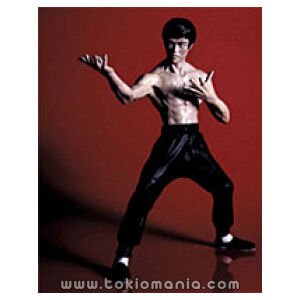 MEDICOM TOY (Pre-Assembled Collection) Bruce Lee (Fighting Pose Type)