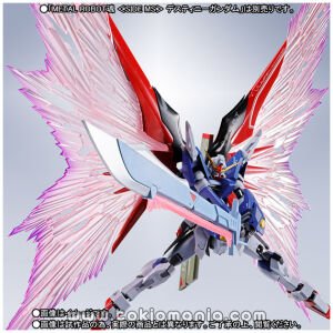 METAL ROBOT SPIRITS < SIDE MS > WING OF LIGHT ＆EFFECT SET For DESTINY GUNDAM