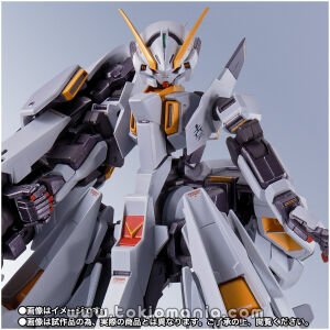 METAL ROBOT SPIRITS < SIDE MS > Gundam TR-6 [WOUNDWORT]