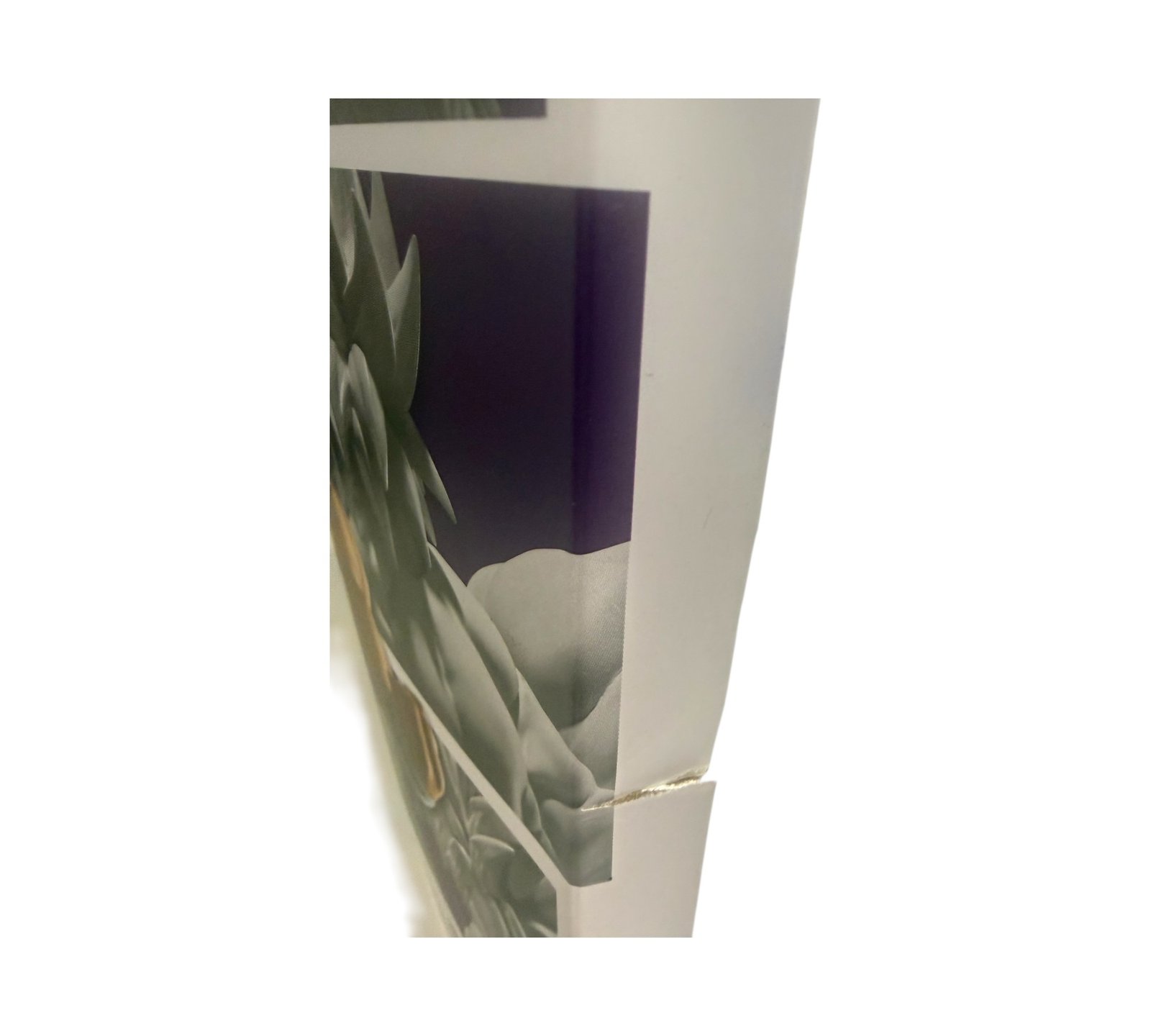 S.H.Figuarts - Super Saiyan Broly Fullpower - Image 4