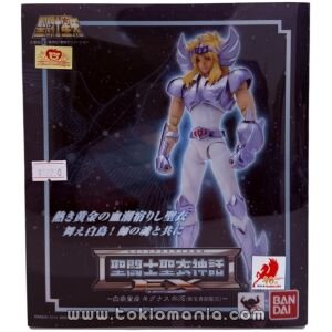 Saint Cloth Myth EX Cygnus Hyoga New Bronze Cloth