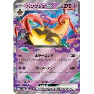 Gourgeist ex [RR] M4 041/083